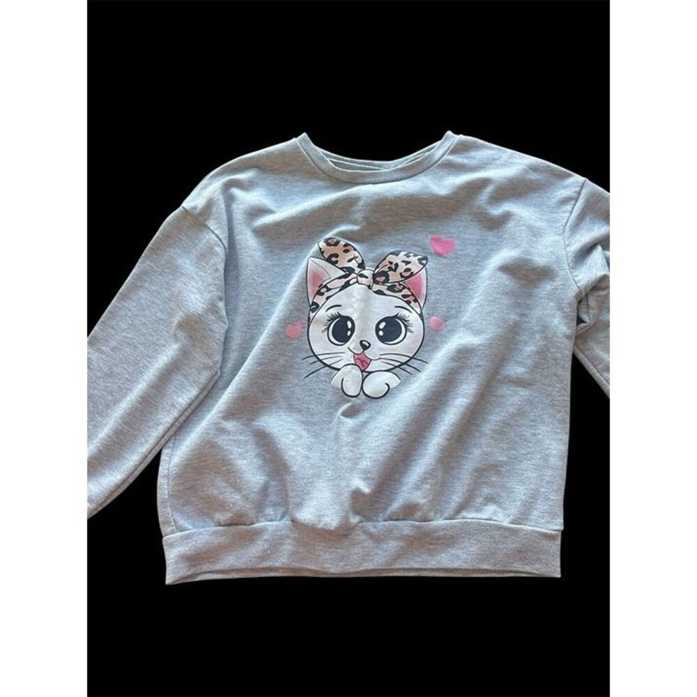 pullover sweatshirt
